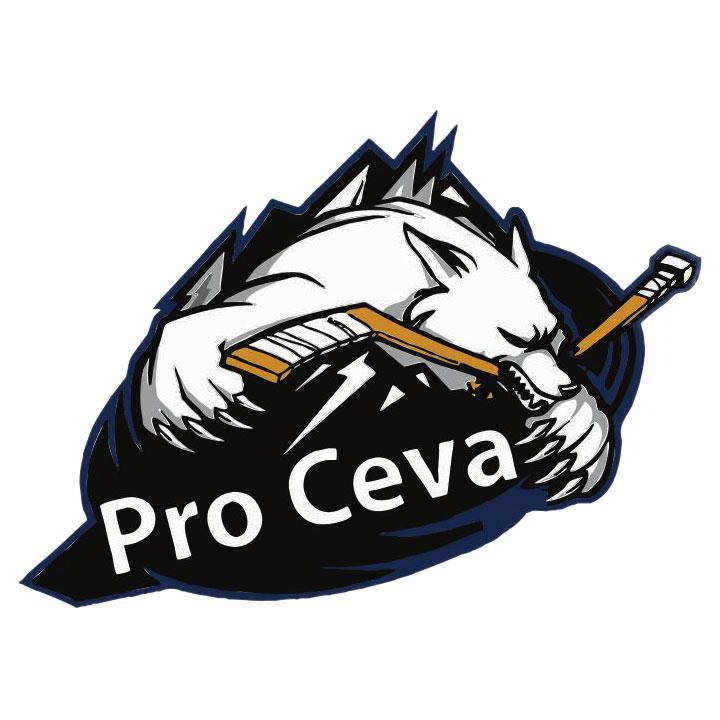 HKProceva's profile picture. Hokeja entuziasti! Komandas spēļu rezultāti, gaidāmās spēles u.c. interesantas lietas par un ap hokeju!