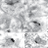 bean_lab's profile image