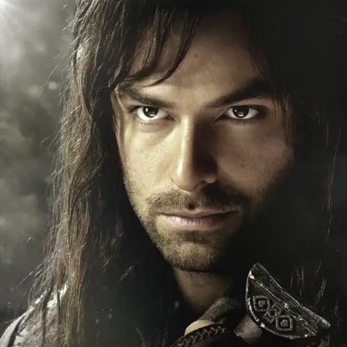 V1: Brother of @ProudAsALion and nephew to Thorin. V2: True son of @SilvanHeir and @GondorsHope; Dating @CaptainTauriel_. V3: My One; @ElvenHeir. (RP 18+)