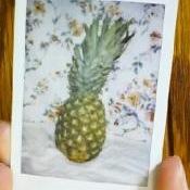 PineapplesRoses's profile picture. NOTE: This is an account for a FICTIONAL character.  Anything said or shared here is the FICTIONAL opinion of this character.