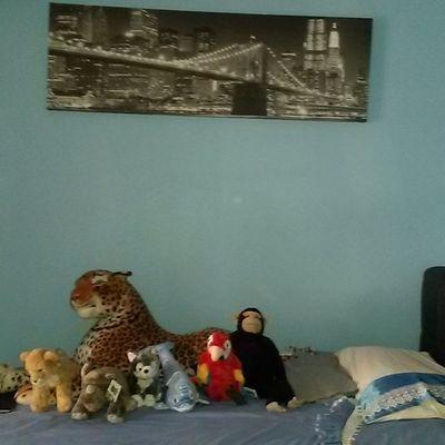 semih_kiris's profile picture. j aime la vie et j'en profite                                                                  PARIS