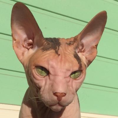 romanoff030476's profile picture. 