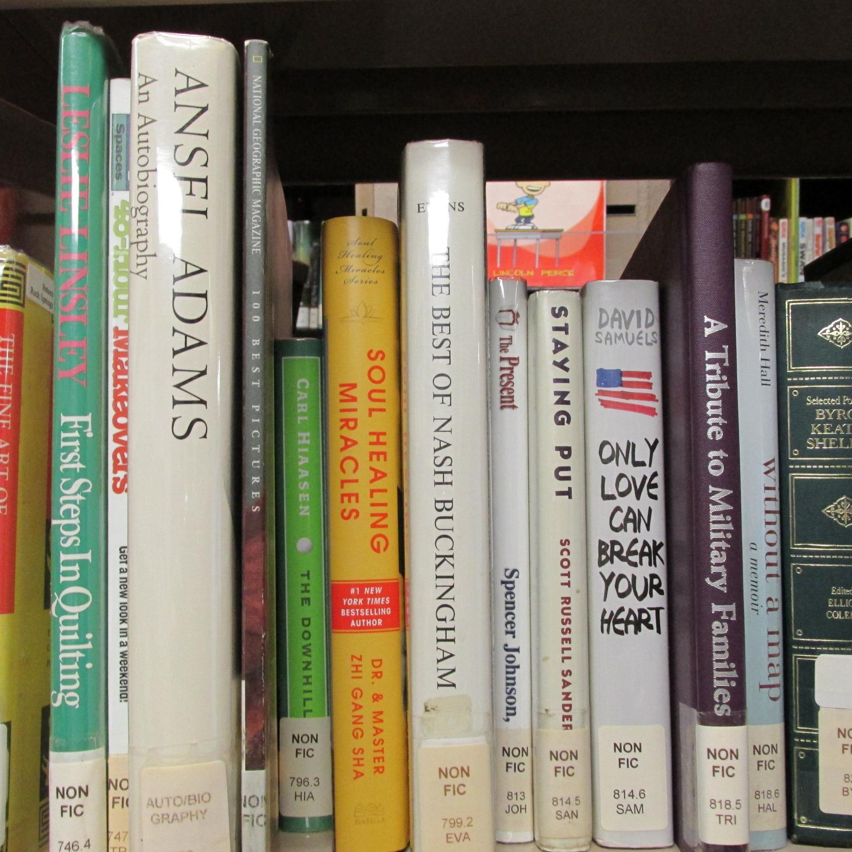 We're the library in Rock Springs, WI--The Village that Roars!  Surrounded by beautiful cliffs and shimmering woods--why would you want to be anywhere else?