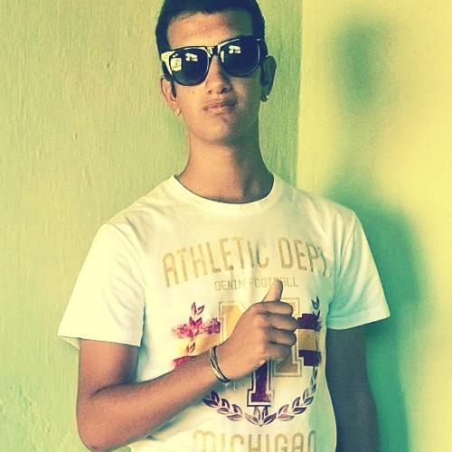 Chama no WhatsApp (81)81372617