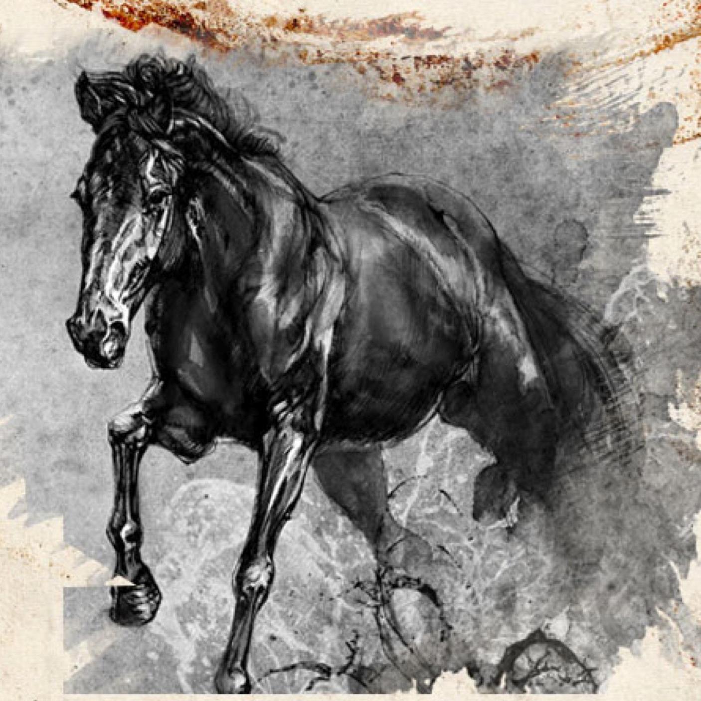 501(c)(3) charity dedicated to saving horses, primarily Thoroughbreds and elder stallions, from abuse, neglect, and slaughter.