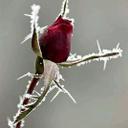 tabitha barnes - @pdkbjb - Twitter