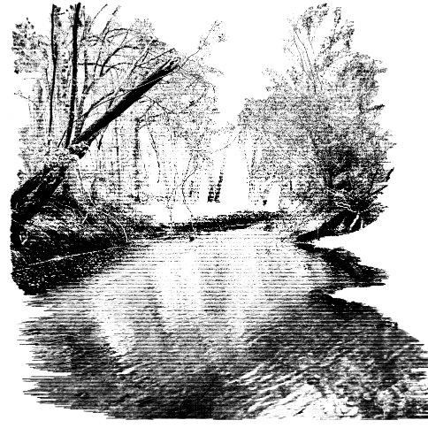 HCDistillery's profile picture. Local,Small Batch, Hand-Made Spirits