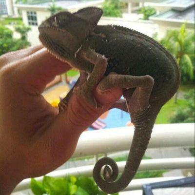 EngGe07's profile picture. 