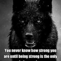 kaykay22 (@bigkay22) 's Twitter Profile