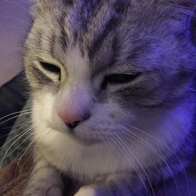 RoseBrockerton's profile picture. radio 4 is all you need.