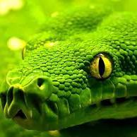 djcool63's profile picture. 