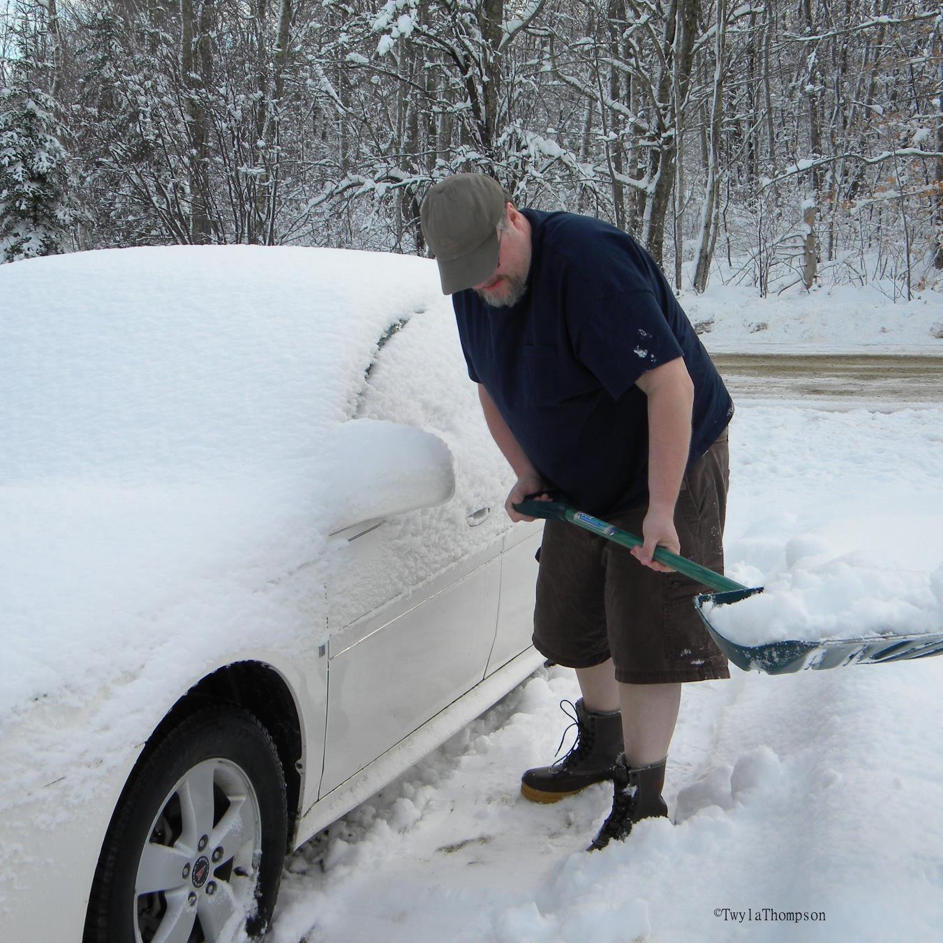 Survival2015's profile picture. 