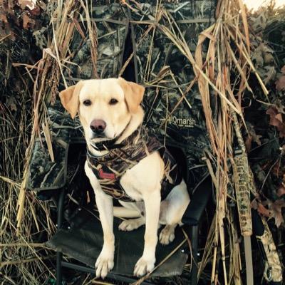 BrettMcCauley's profile picture. Husband, Father, Golfer, Hunter....Work hard, Play hard!