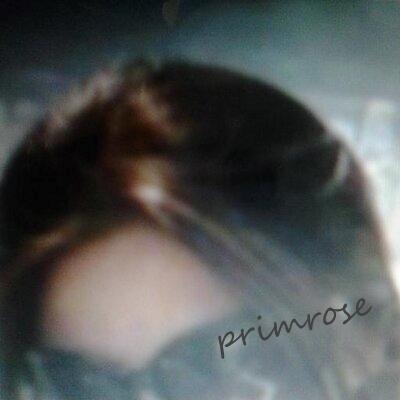 primrosaly's profile picture. ..*..*...* ورد  الــــــربيــع *...*...*..