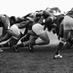 Rugby Look Alikes (@rugbysnap) Twitter profile photo