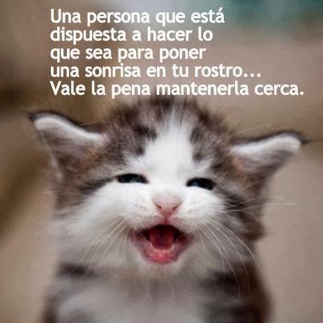¿Estás mal? ¿Necesitas alguien que te anime? Yo te digo frases y te apoyo, solo envía mensaje. ♥
