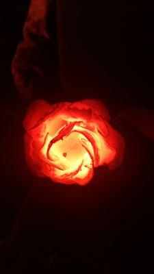 PossumForge's profile picture. 