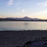Michael Ryan (@michriann) 's Twitter Profile