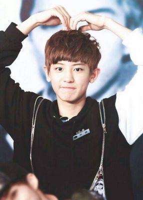 i like chanbaek i love luhan