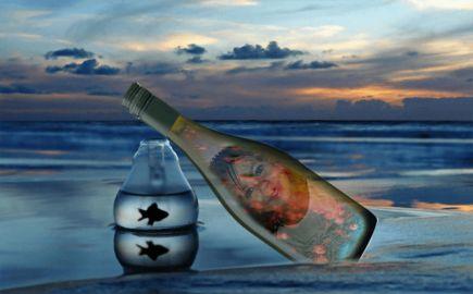 najateblmou's profile picture. 