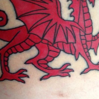 mconnolly2's profile picture. Cats, travel, food.