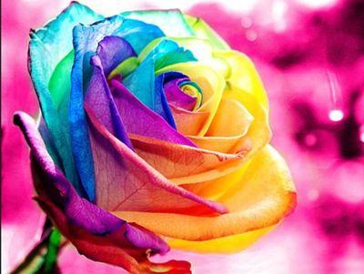 Dedicada A Todos esas mujeres que luchan por ser personas de bien
Sigueme en Instagram @DivinasyHumanas