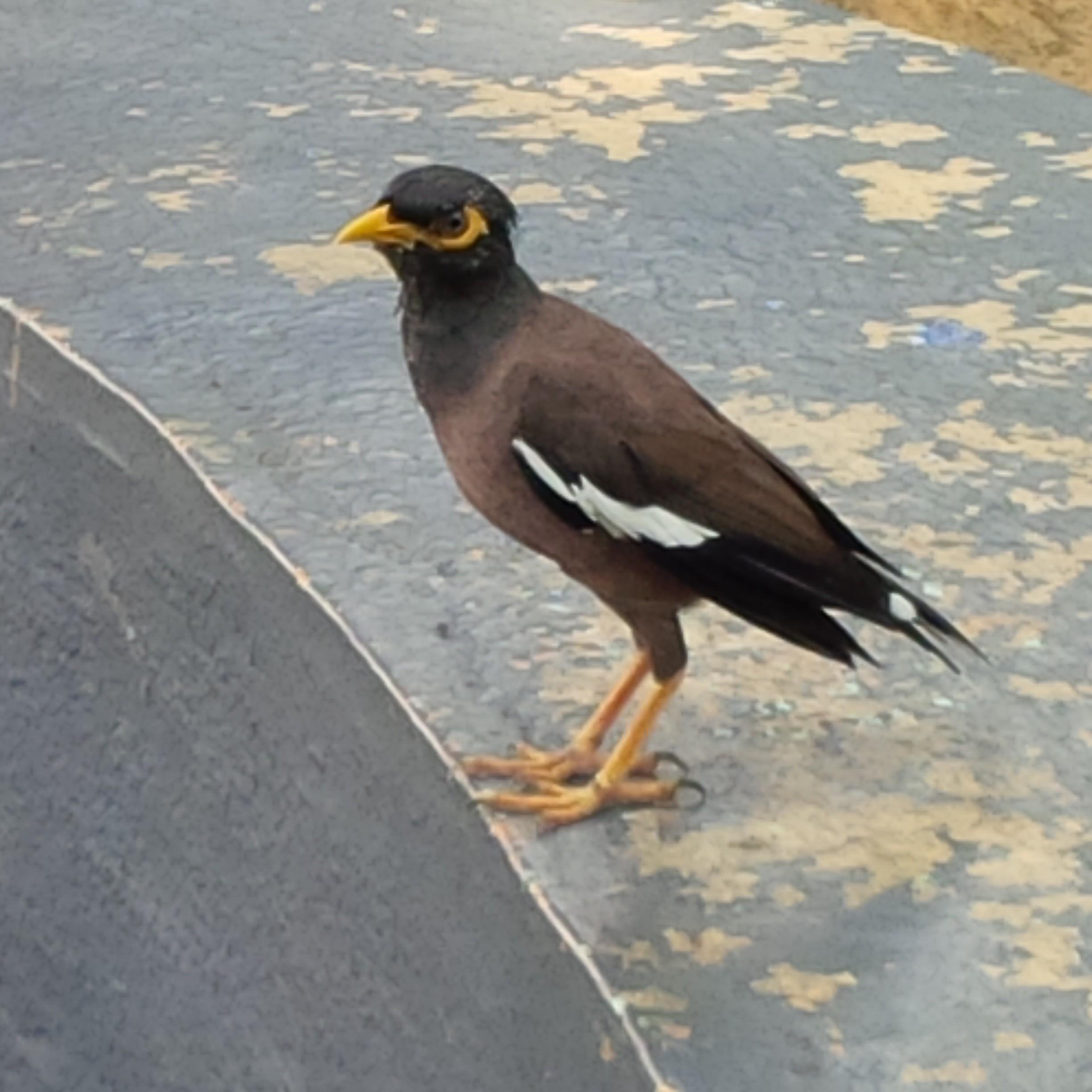 salihudin's profile picture. In search of better things to do