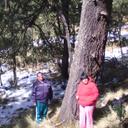 Armando Cuevas R. - @Cura611027 - Twitter