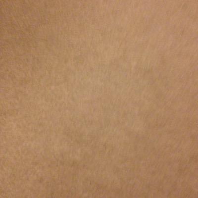 AcaidaBarnst's profile picture. 