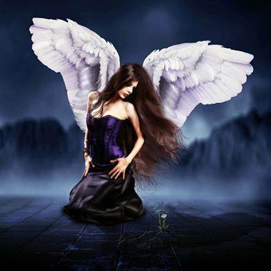 Sal59mabe1Angel's profile picture. 