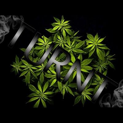 TurntbG's profile picture. 