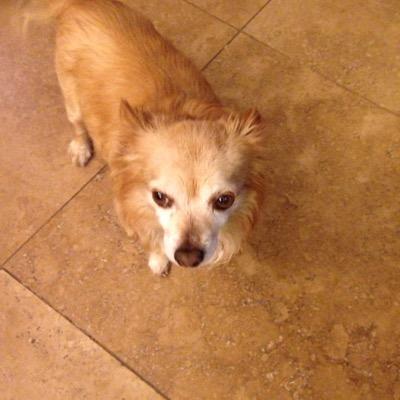 LivinginBHC's profile picture. 