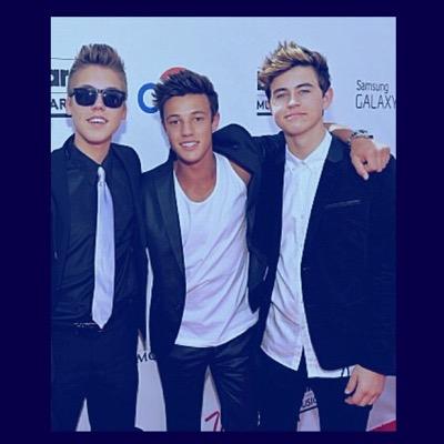 BlueberryCashew's profile picture. 