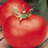 latomato's profile image