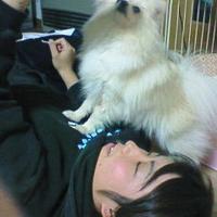 ひいろ (@hirororuke) 's Twitter Profile