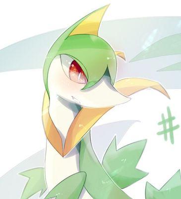 Mated to @CharmingShaymin. Such serene grace could only come with a serpent as aesthetically sagacious as I.