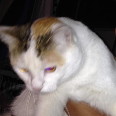 MaximilianoZec1's profile picture. 