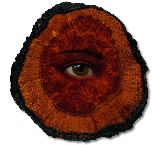 tryfon2000's profile picture. 