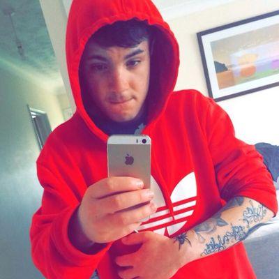 Kaine 3