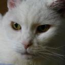 colleen emerick - @colleenemerick - Twitter