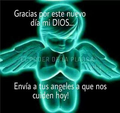 isamerfreites's profile picture. 