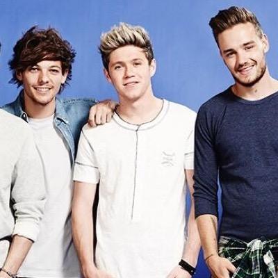 follow @harryniaII for a dm to niall, louis, liam :) turn her notifications on too for daily dms!