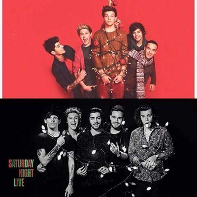 Hey just another 1D fan account,follow me on my normal twitter if you like @Real_me18