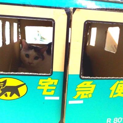 ライブちょっと控える