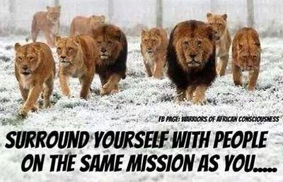 LSD243KING's profile picture. It's a great day to be alive and a great day to do something productive.

Live Life, Love Life and Enjoy Yourself.