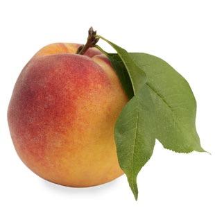 a peachy follow from @cacticry follow her back and have a lovely day you amazing human being!