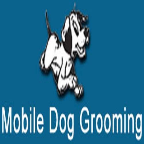 Mobile Dog Grooming Eastleigh Mobile Dog Grooming Eastleigh
