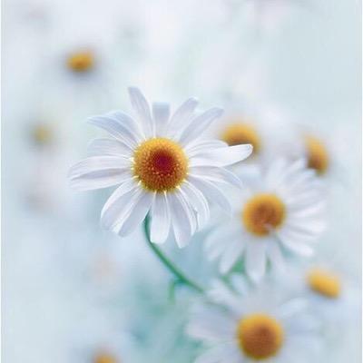 ♥ لأني احبكم جعلت هذا الحساب صدقه عنكم ♥