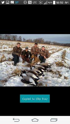 ziolkoeskikyle's profile picture. 