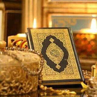 afoosy11's profile picture. 